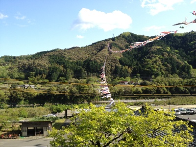 毎年4月中旬から5月中旬まで、四万十川をまたぐように数百匹のこいのぼりが泳ぐ名所です。