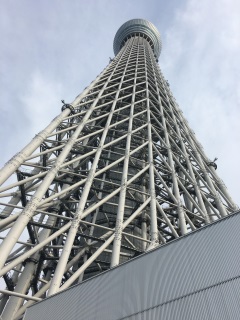 スカイツリーを見上げる図