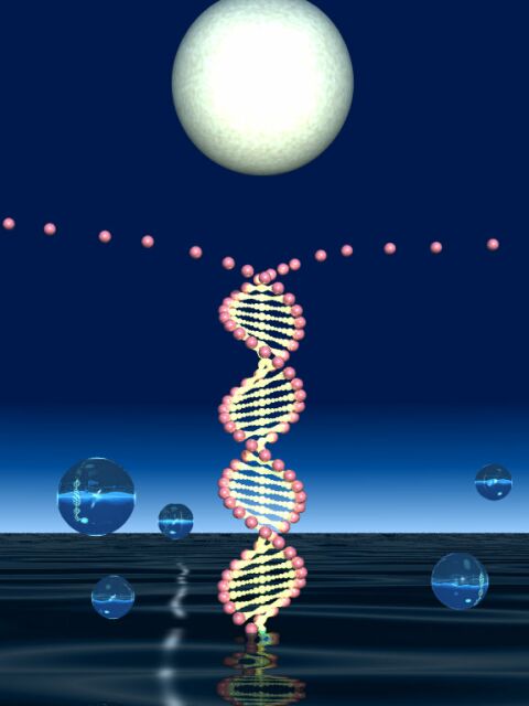 DNA