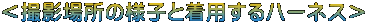 Beꏊ̗lqƒpn[lX