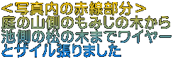 ʐ^̐Ԑ ̎R݂̖̂؂ ȑ̖؂܂ŃC[ ƃUC܂