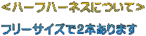 n[tn[lXɂā  t[TCYłQ{܂