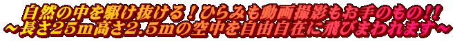 @R̒삯IЂ݂Bê!! `252.5̋󒆂R݂ɔт܂܂`
