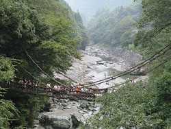 かずら橋