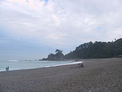 桂浜