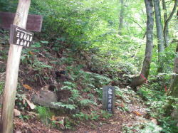 R쌹