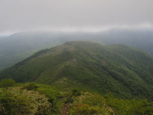 ̗lq@̂Q