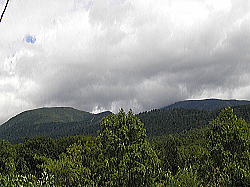 曇ってきた。山だから?