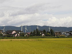 田園奥に見える風力発電の風車