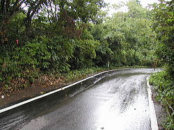 雨です・・・(T∇T)