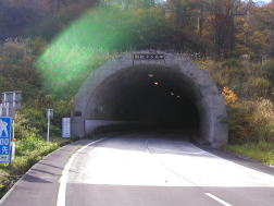 zgl