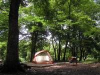 mossOdyssey Assault ̂P