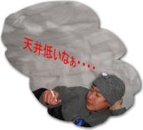 AV䂪Ă܂