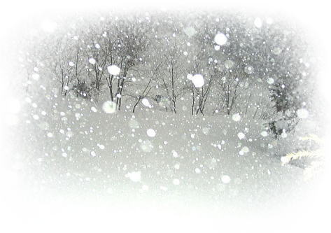 ܁EOȂ