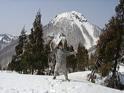 xĂ킯Ȃ