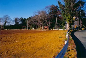 白山神社の山