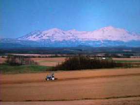 �k�C���E���l����̑��R�B���R�[�̍����ɂ͈��x����A�V�l������A���R�k����A�w�_������Ȃǂ�����܂��B