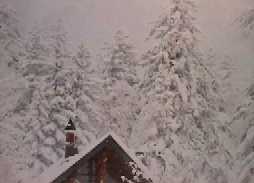 �k�C�����x����B�����̃G�]���тɈ͂܂ꂽ����ł��B���̍����ɂ́A�V�l������A�w�_������A�\���x����Ȃǂ̍������򂪂���܂���B