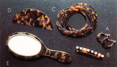 �ׂ��b���V���[�Y