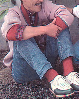 ����̒�ł��낮���q����