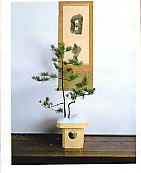 �u���X�^�v