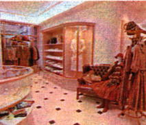 �j�h�R�X�̓X��