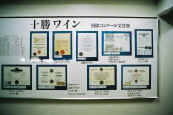phot202.jpg (14946 oCg)