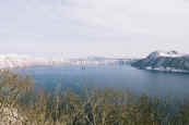 phot206.jpg (17650 oCg)