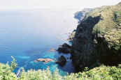 phot131.jpg (16566 oCg)
