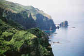 phot136.jpg (14892 oCg)