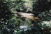phot137.jpg (25717 oCg)