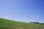 phot147.jpg (11256 oCg)