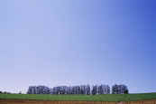 phot148.jpg (9844 oCg)