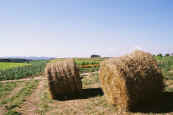 phot156.jpg (21311 oCg)