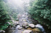 phot161.jpg (19801 oCg)