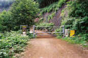 phot165.jpg (25431 oCg)