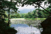phot173.jpg (23634 oCg)