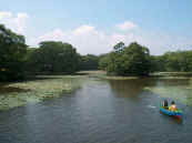 phot180.jpg (13501 oCg)