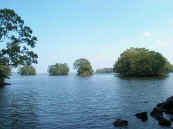 phot183.jpg (14963 oCg)