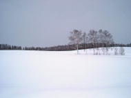 雪の丘・・・