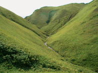 nCW̒J