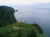 ωW]䂩̌iF
