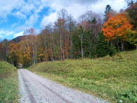 林道の紅葉は、まあまあ良い感じです。