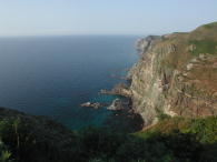 屏風岩展望台。ここも海鳥が飛び交ってます。