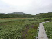天気はまあまあ、贅沢は言えません。それにしても、クマよけの鈴が無いと。。。