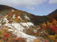 ニセコ五色温泉の紅葉。。。