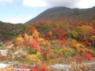 ニセコアンヌプリの紅葉。美しい。。。