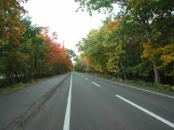 屈斜路湖畔道路の紅葉はちと早いかも。でもキレイです♪