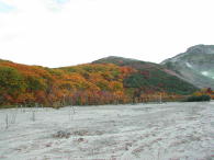硫黄山の紅葉は、去年と同じくキレイですね。