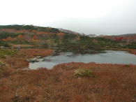 三の沼の紅葉。まあまあかな。。。